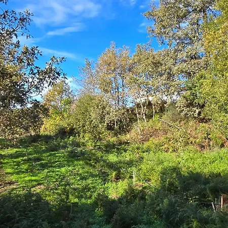 Bayo - Terra Essentia Βίλα Alge