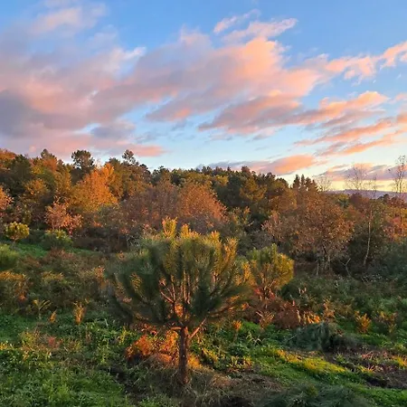 Bayo - Terra Essentia Βίλα *