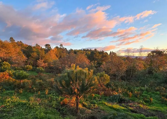 Bayo - Terra Essentia Villa *