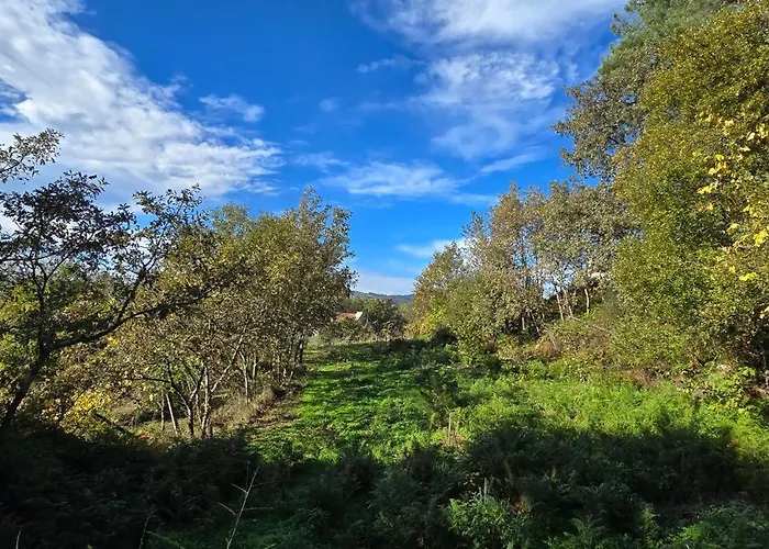 Bayo - Terra Essentia Villa *